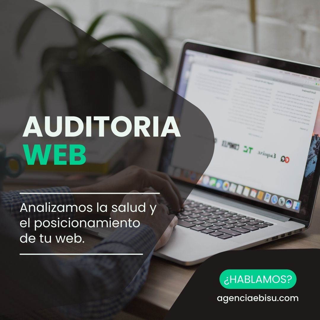 auditoriaweb